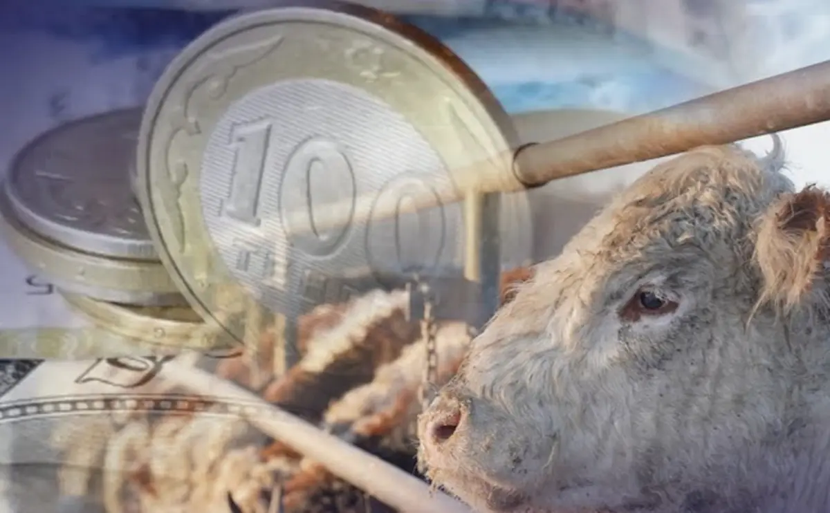 Фото: кадр YouTube