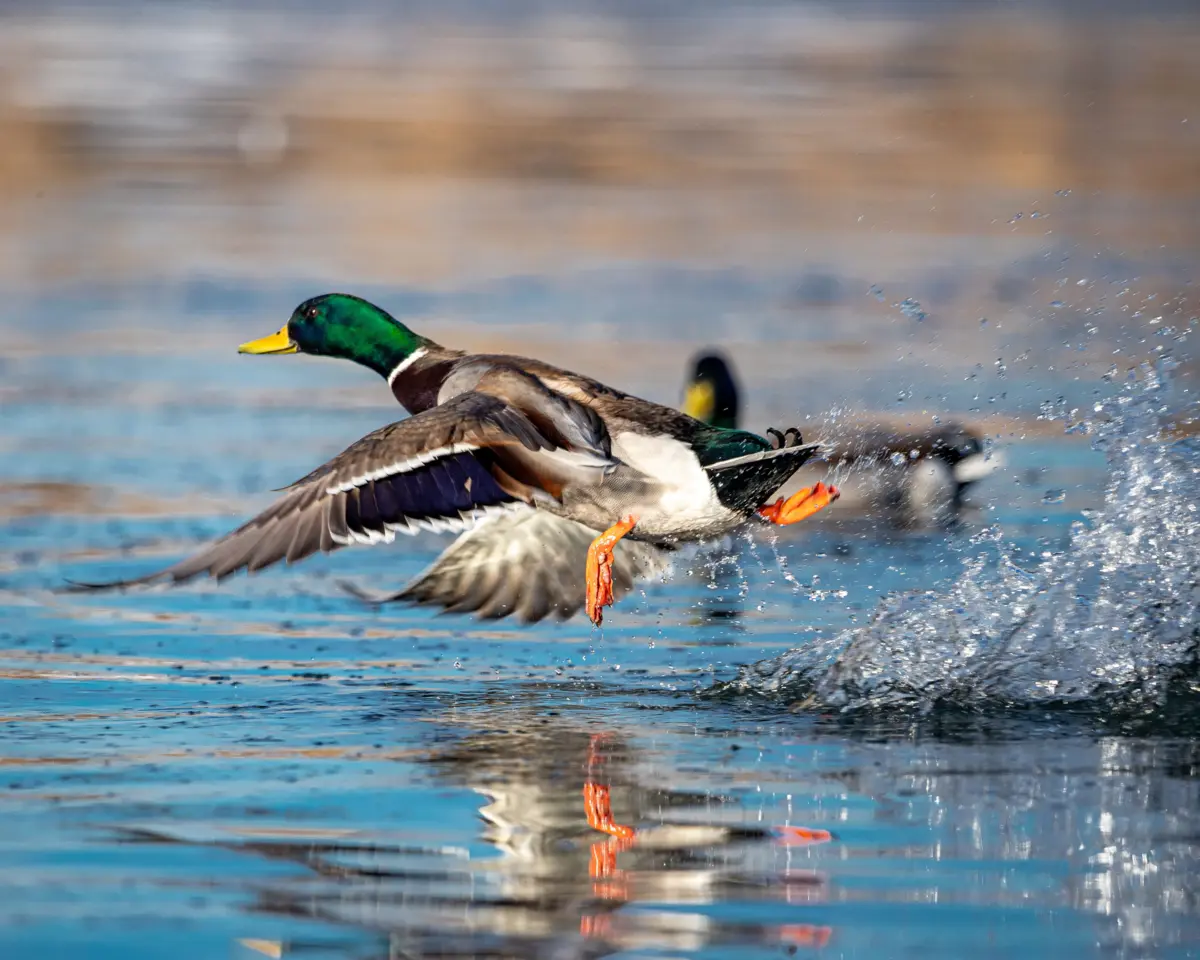 Иллюстративное фото: envato.com