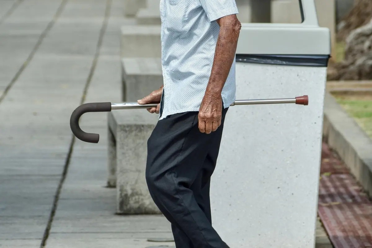 Фото pixabay.com