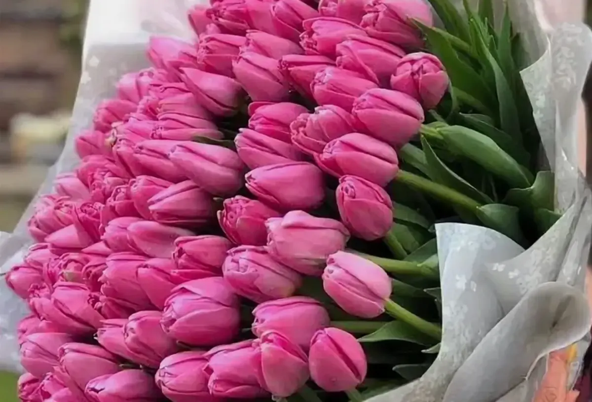 Фото: depositphotos.com