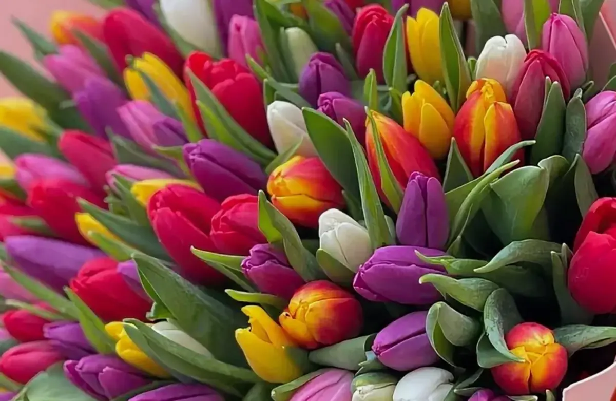 Фото:  Shutterstock