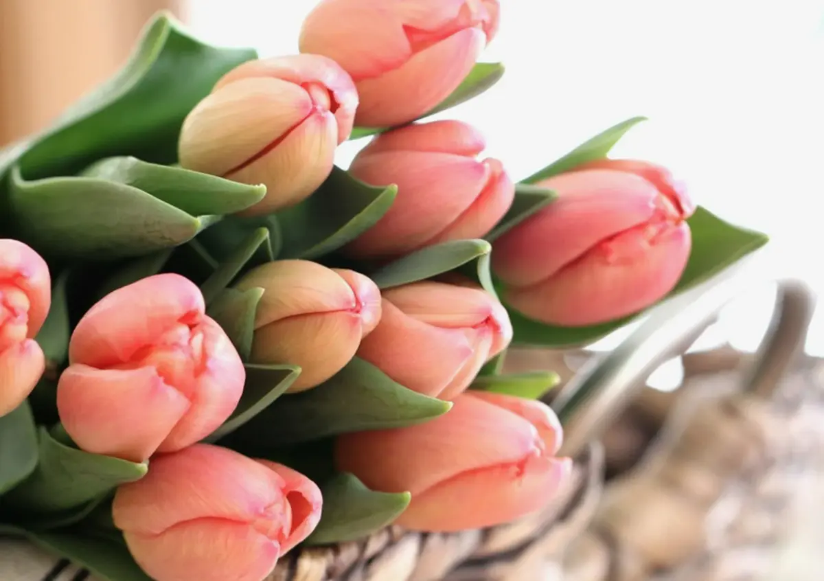 Фото: rdkb.med.cap.ru