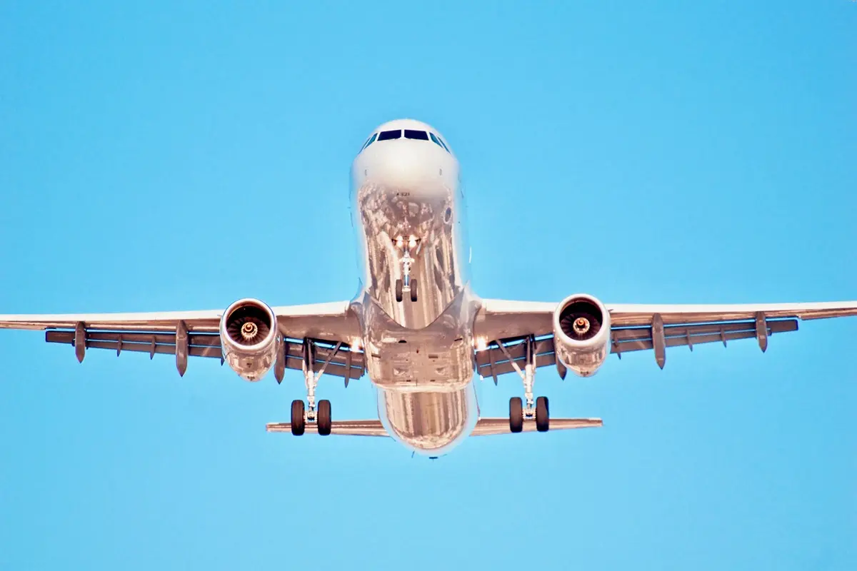 фото с сайта https://app.envato.com/