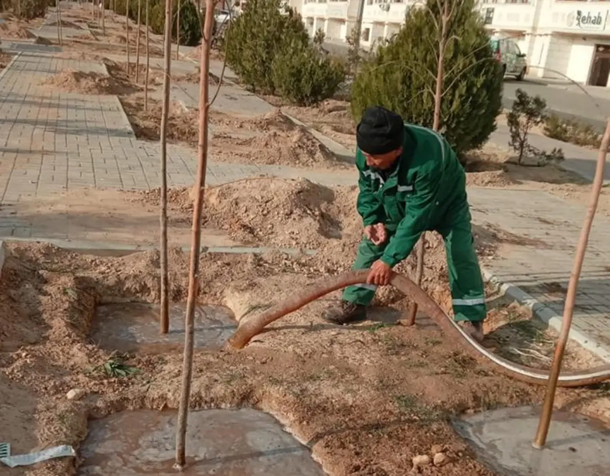 Фото предоставил Айбек Ерболеков