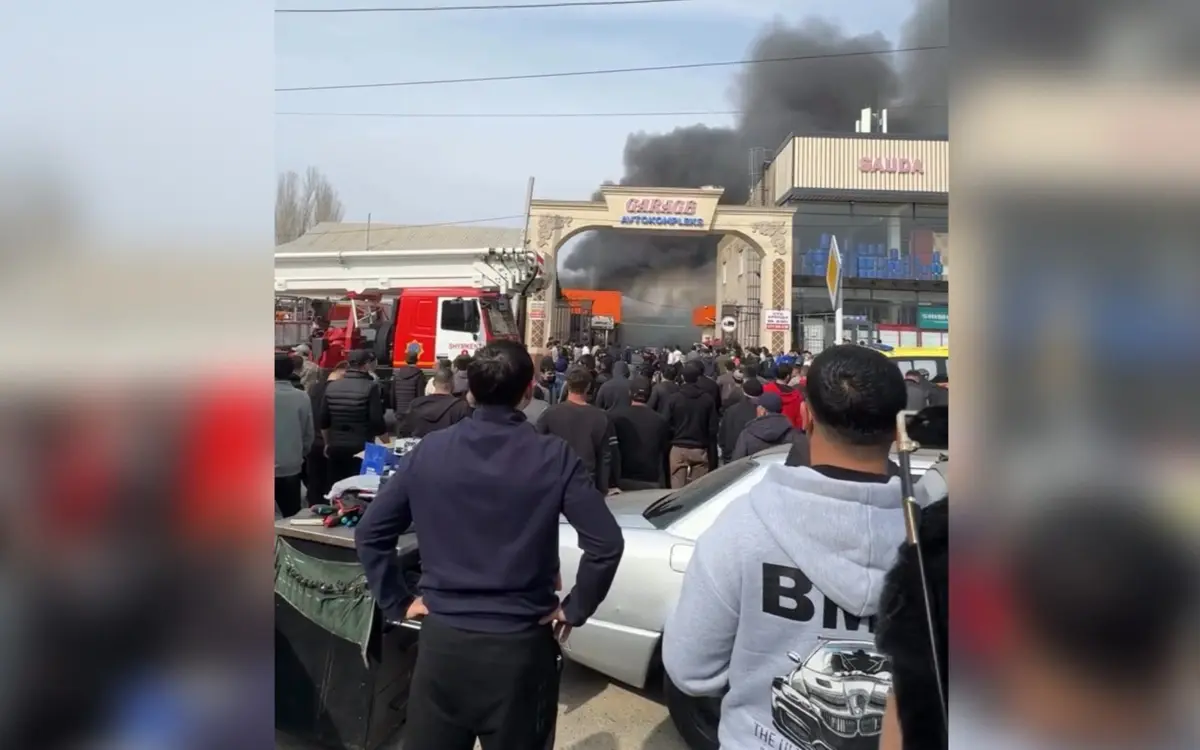 Фото: кадр видео