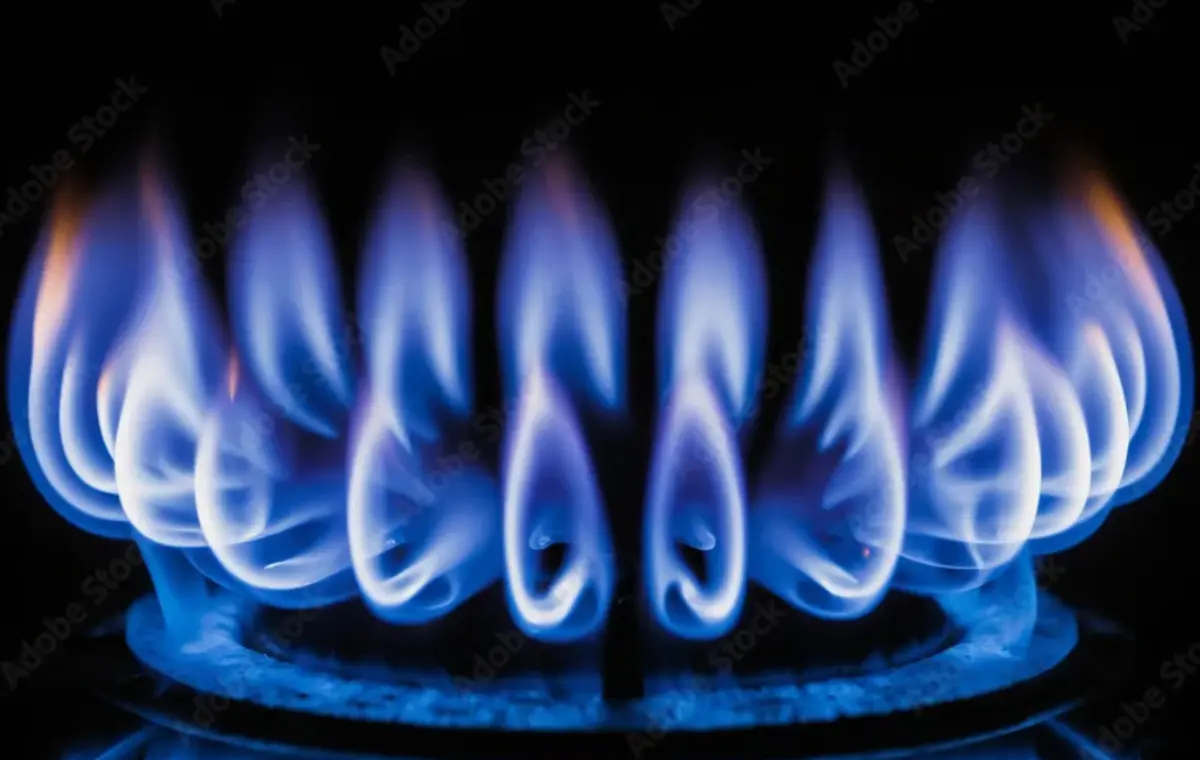 Фото: stock.adobe.com