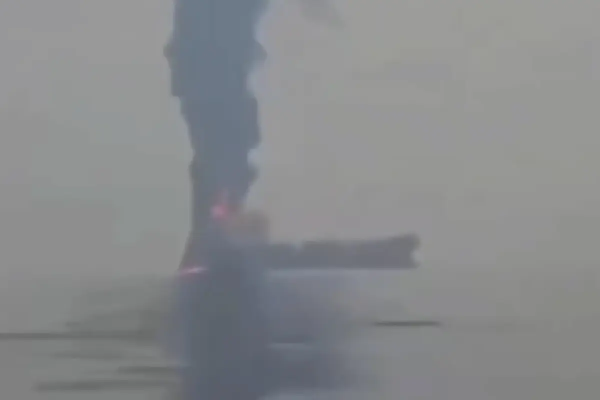 Фото: соцсети