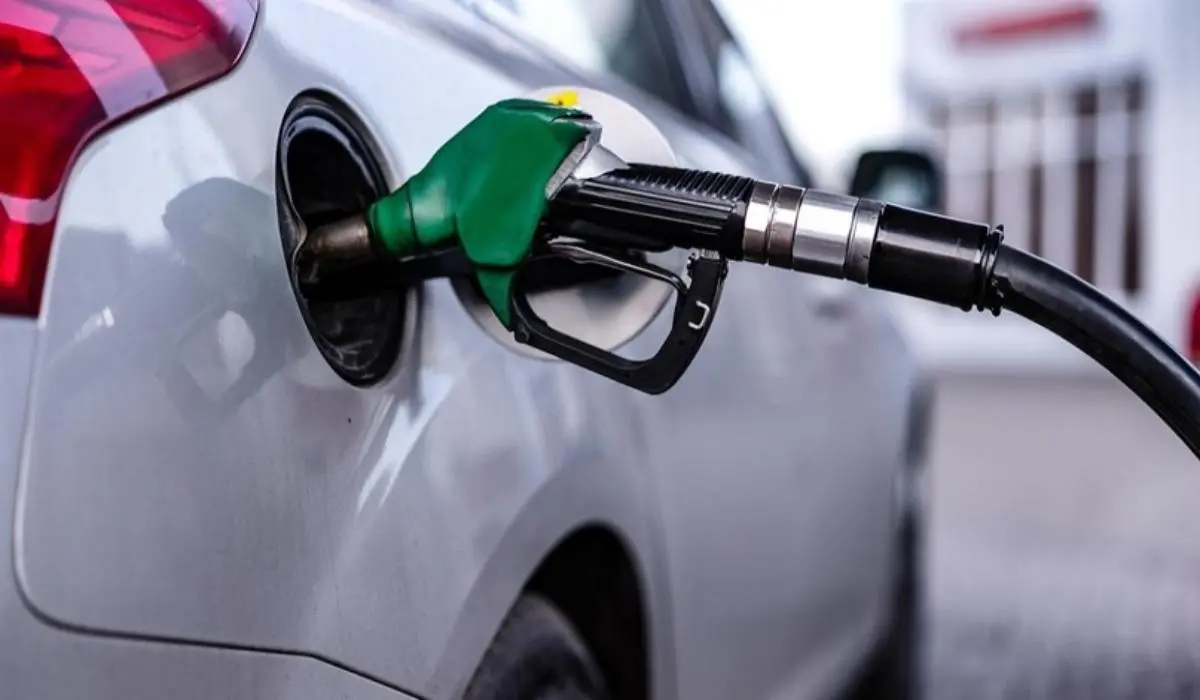 Фото:  Shutterstock