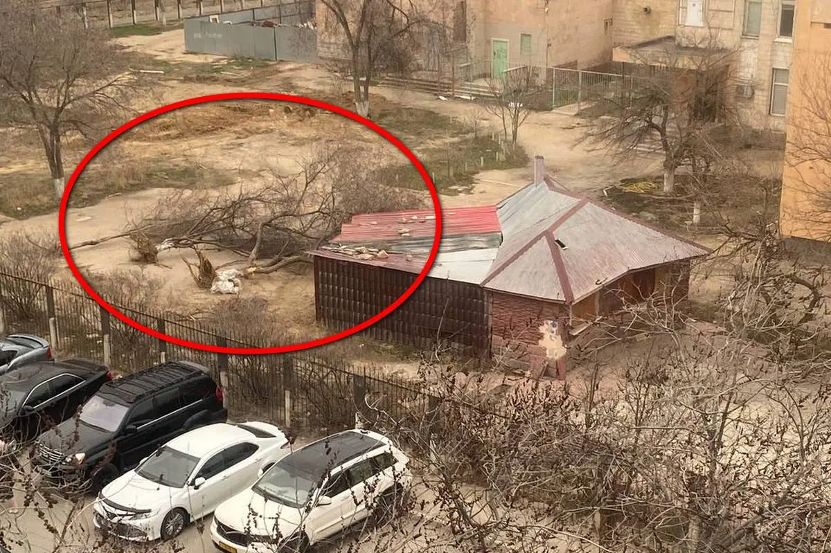 Фото жителей 13 микрорайона