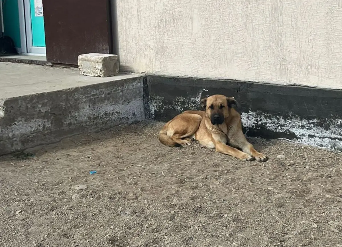 фото прислано жителями села Жана Даулета