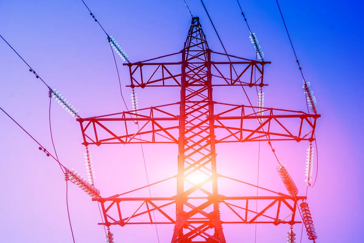 фото с сайта https://app.envato.com/