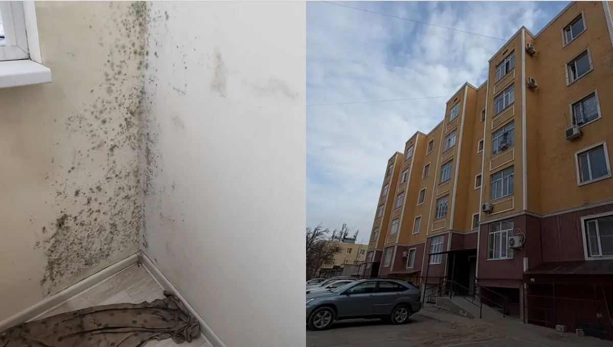 Коллаж автора