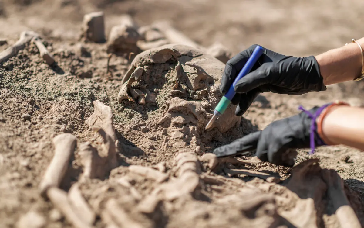 Фото: Microgen/Shutterstock/FOTODOM