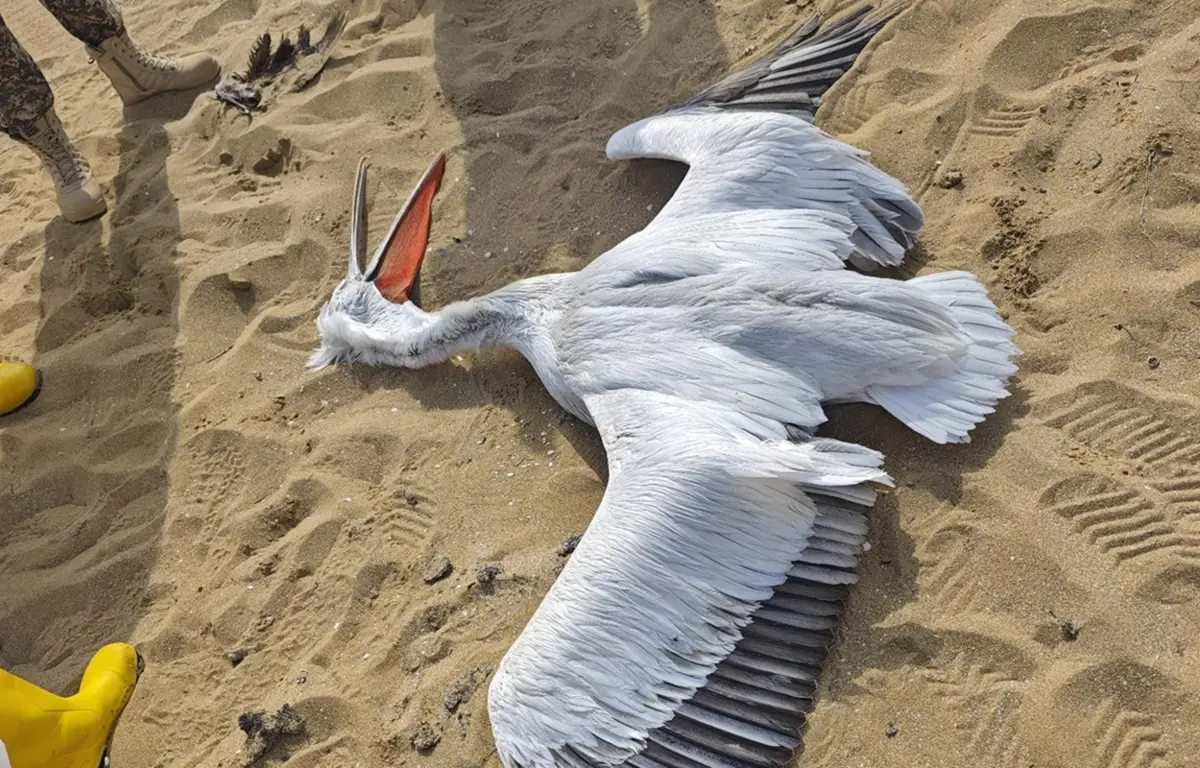 Фото Данияра Акимжанова