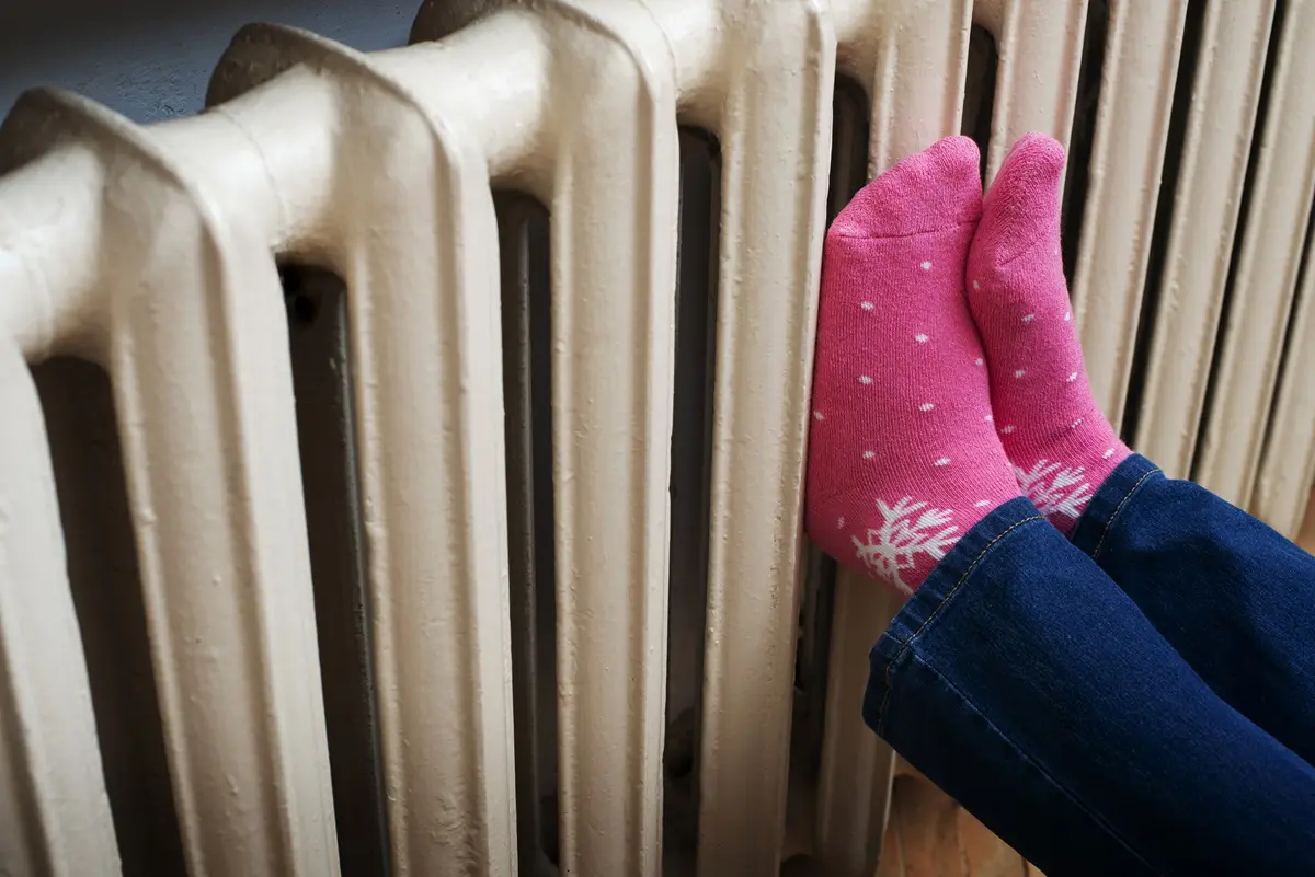 Фото с сайта app.envato.com