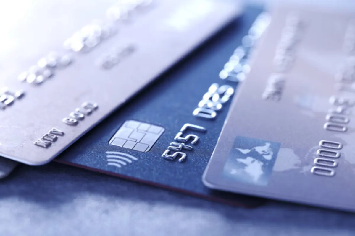 Фото: stock.adobe.com