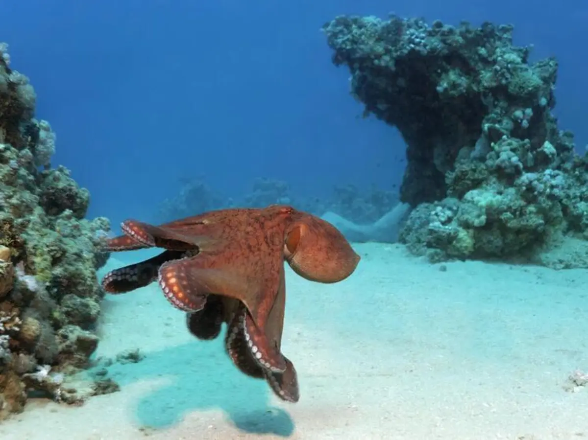 Norbert Probst / imageBROKER.com / Global Look Press