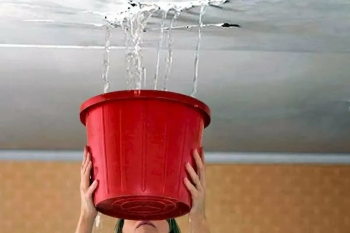 Фото: кадр YouTube