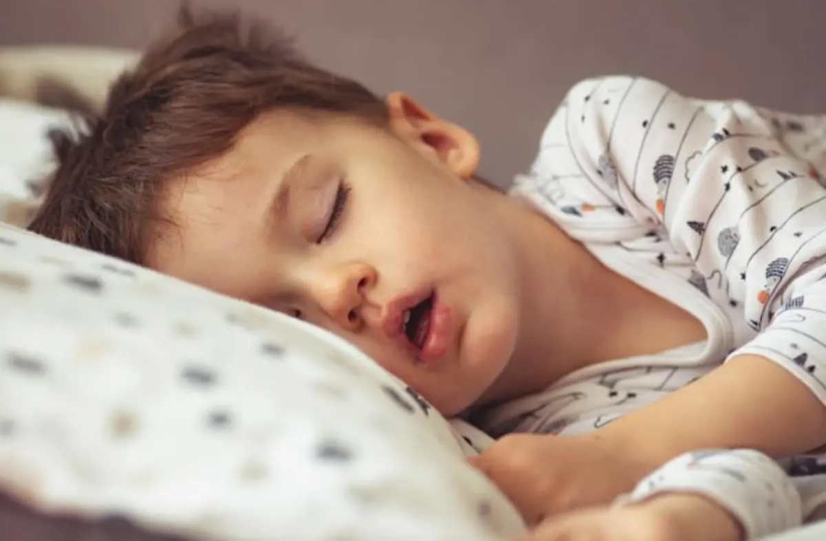 Фото: Dragana Gordic/Shutterstock