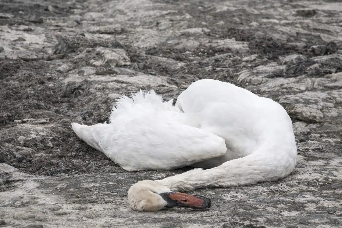 Фото режиссера Каната Майлыбаева