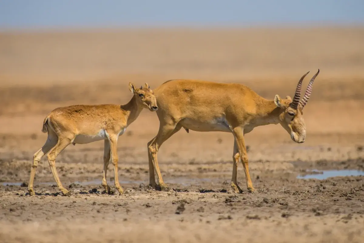 Иллюстративное фото с сайта content.foto.my.mail.ru