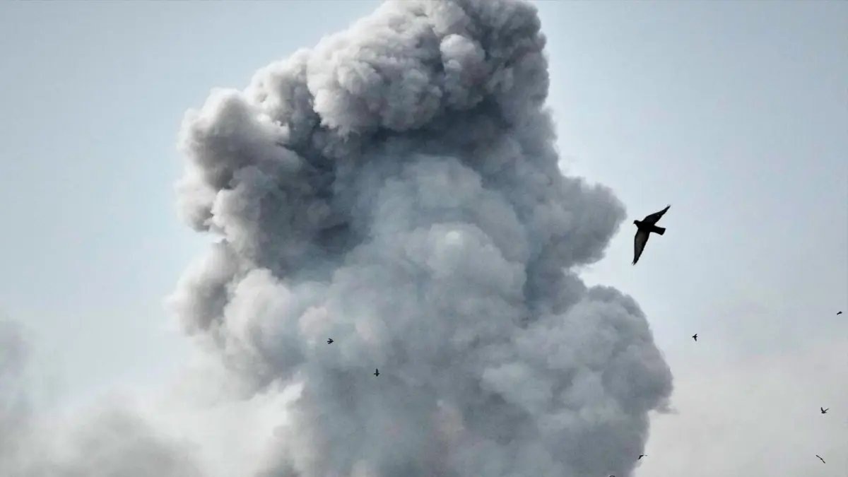 © AP Photo / Vahid Salemi