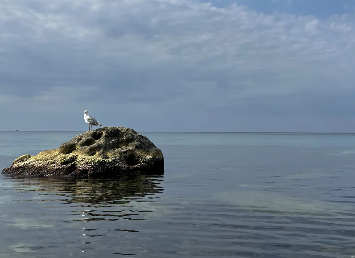 Какой будет погода в Мангистау в апреле