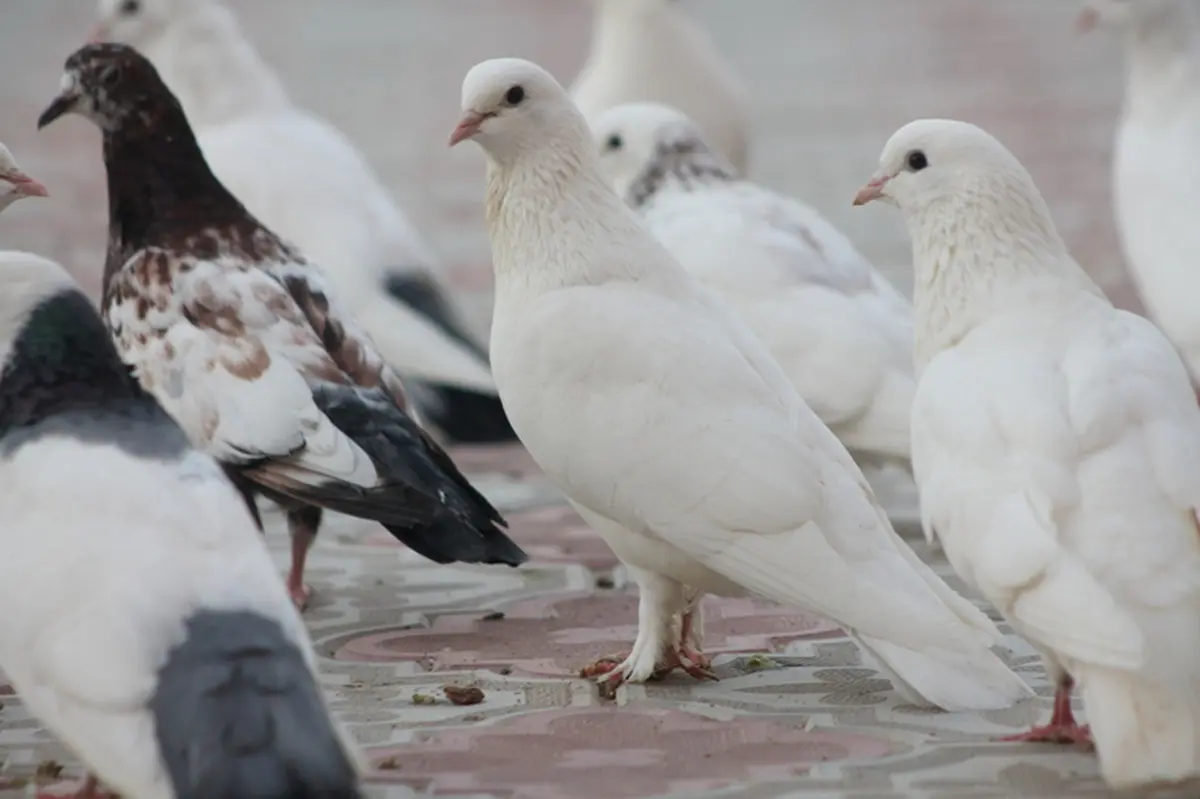 Фото из архива Lada.kz