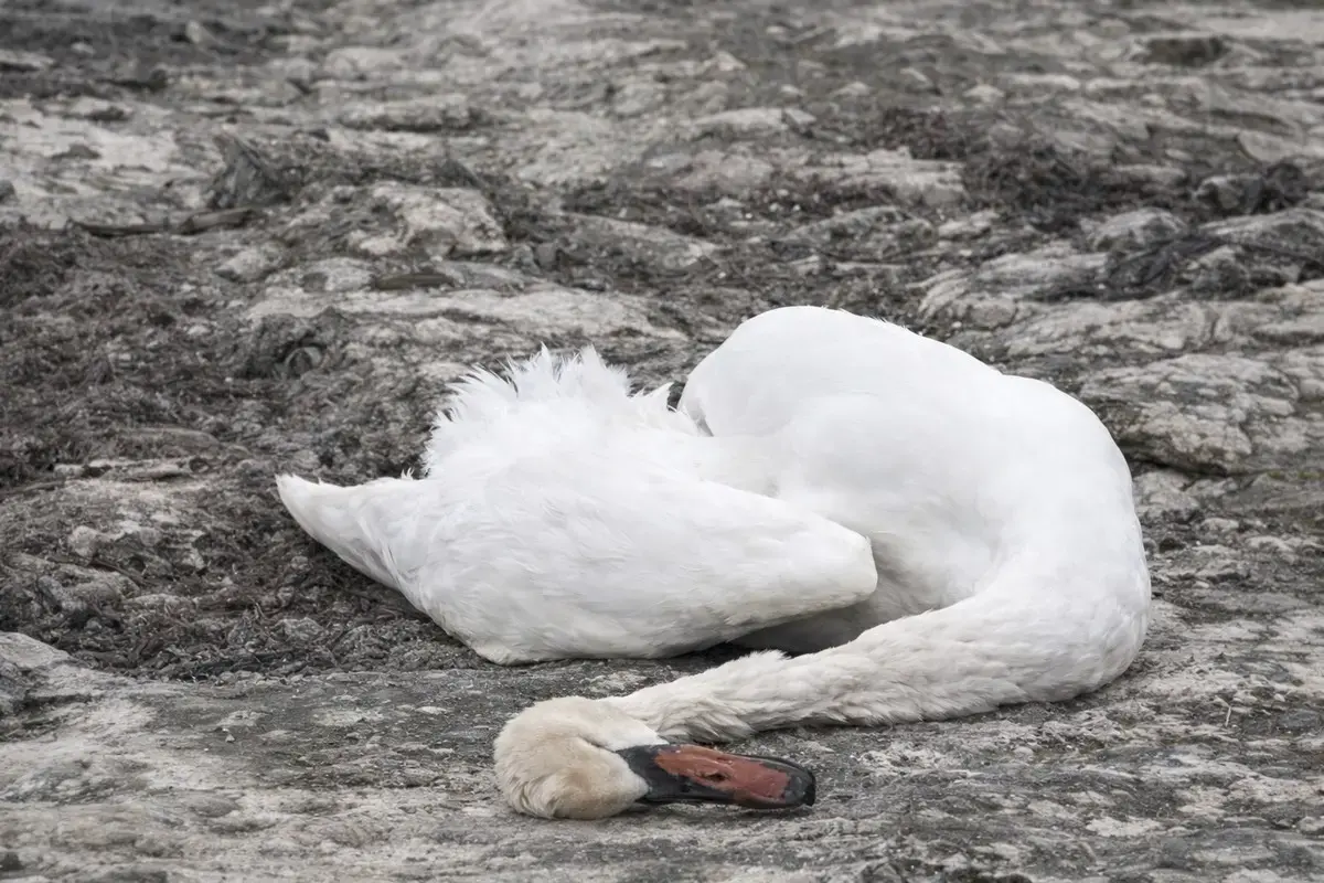 Фото режиссера Каната Майлыбаева