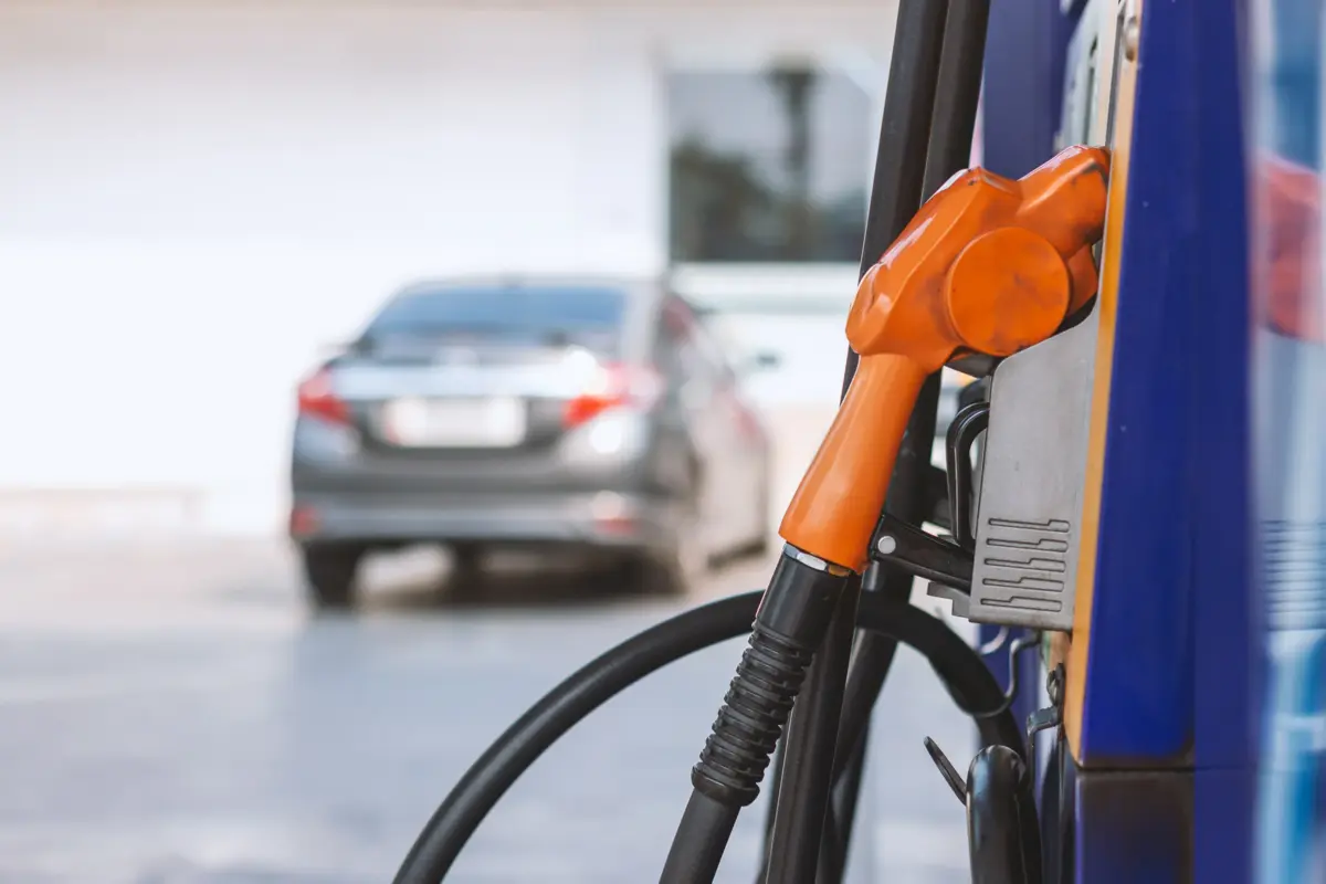 Фото: memory_stockphoto