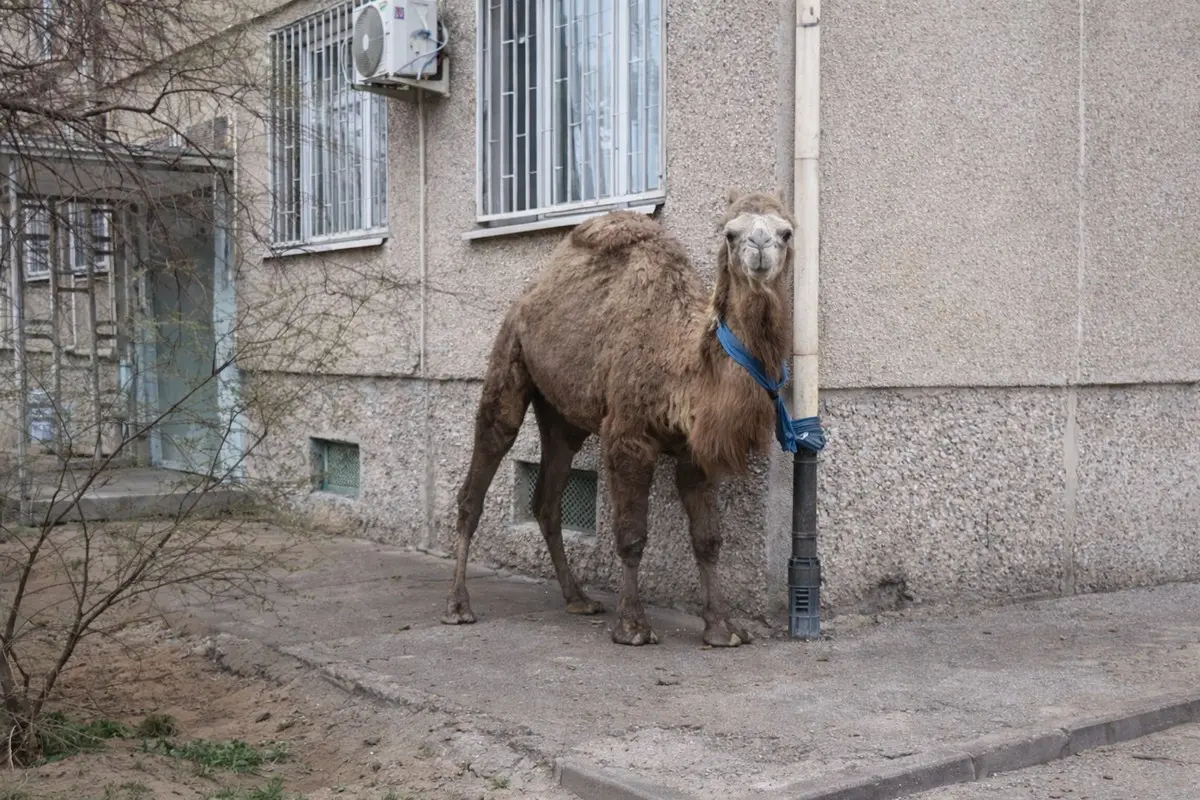 Фото: кадр видео