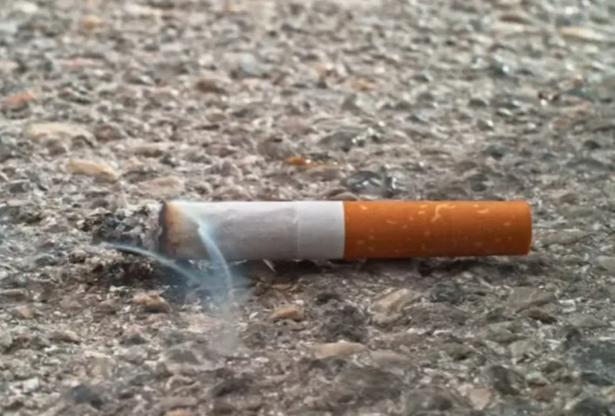 Фото: istockphoto.com