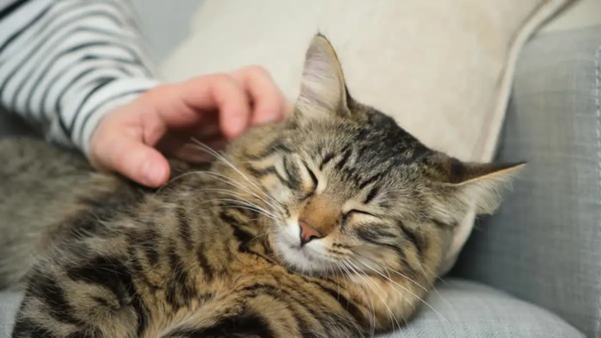 Фото: istockphoto.com