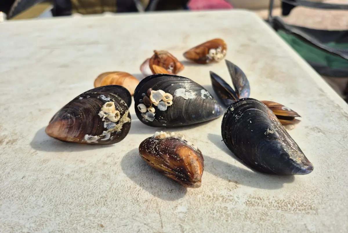 Фото жителей Актау