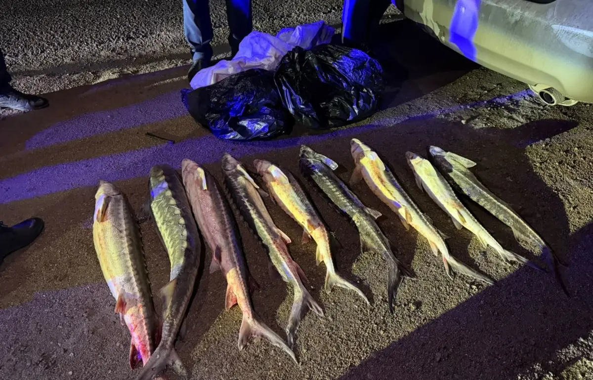 фото ДП Мангистауской области