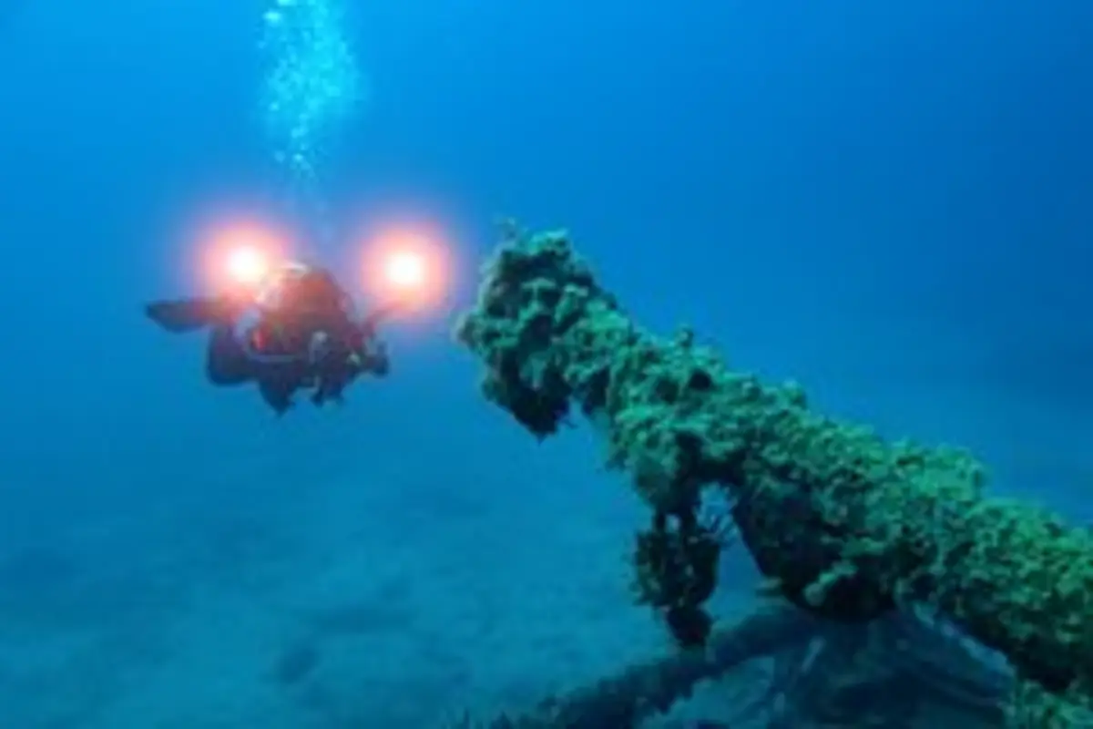 Фото: blue-sea.cz / Shutterstock / Fotodom