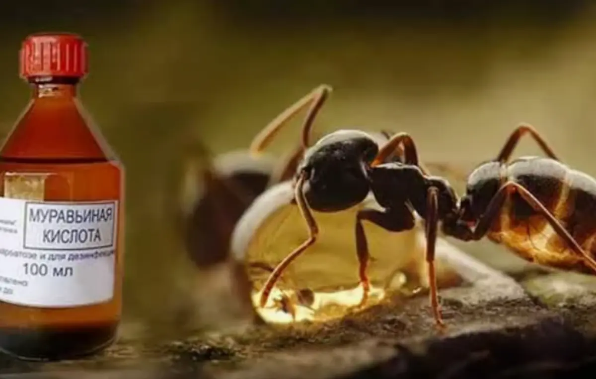 Фото: karatmeda.ru