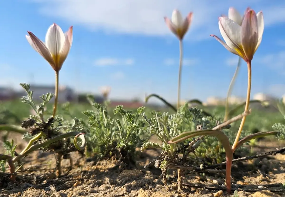 Фото руководителя клуба «Эколидер» Бахытгуль Жаксылыковой