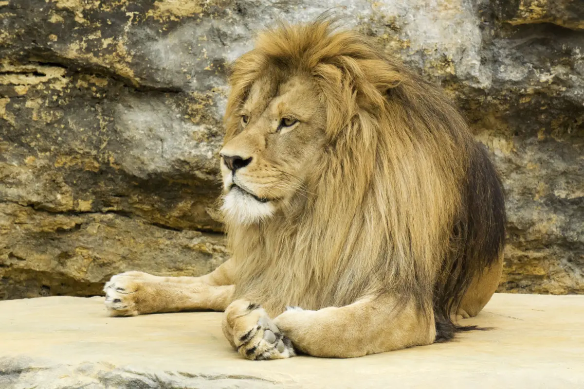 Иллюстративное фото: Pixabay