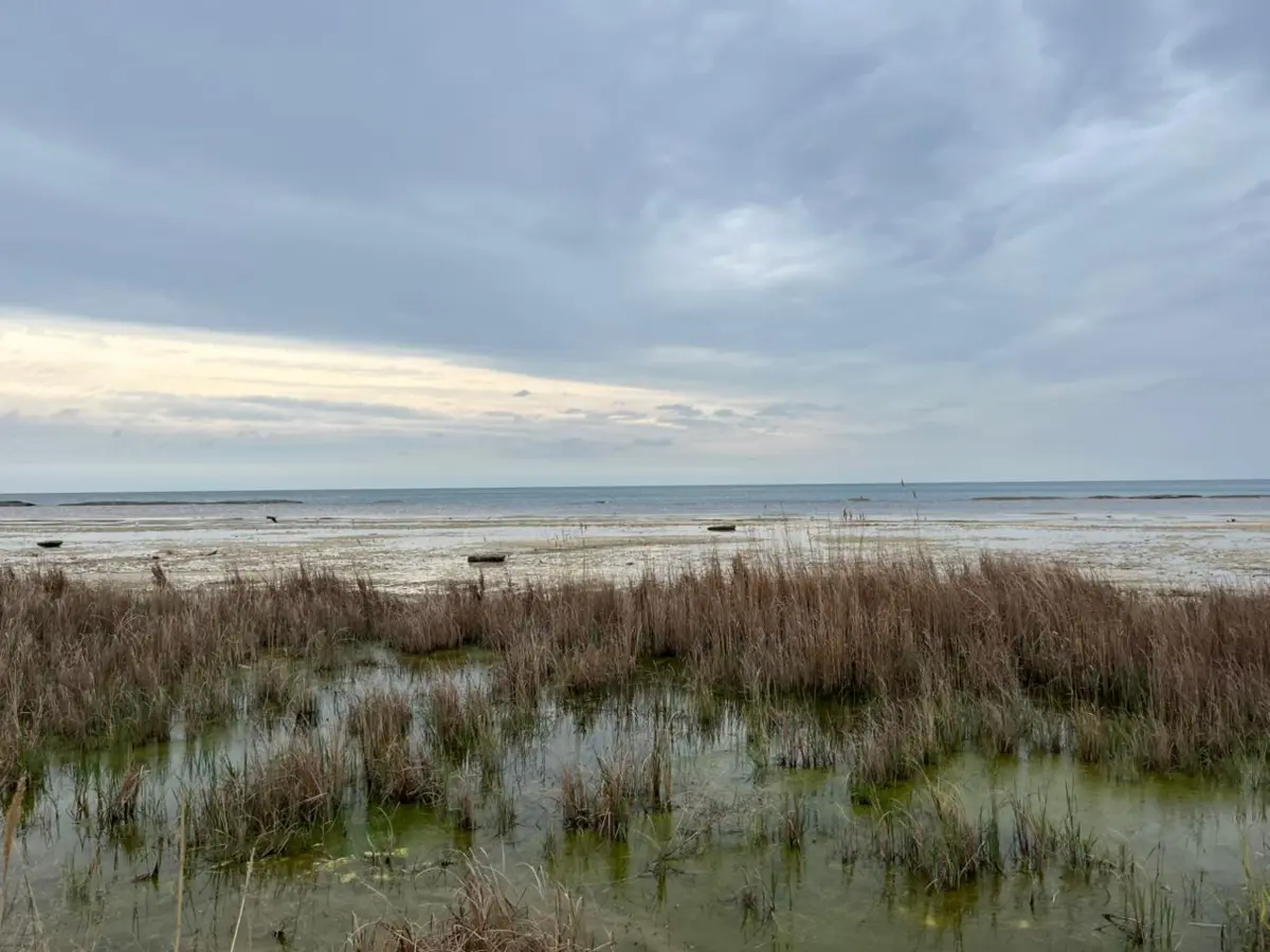 Каспий. Фото автора