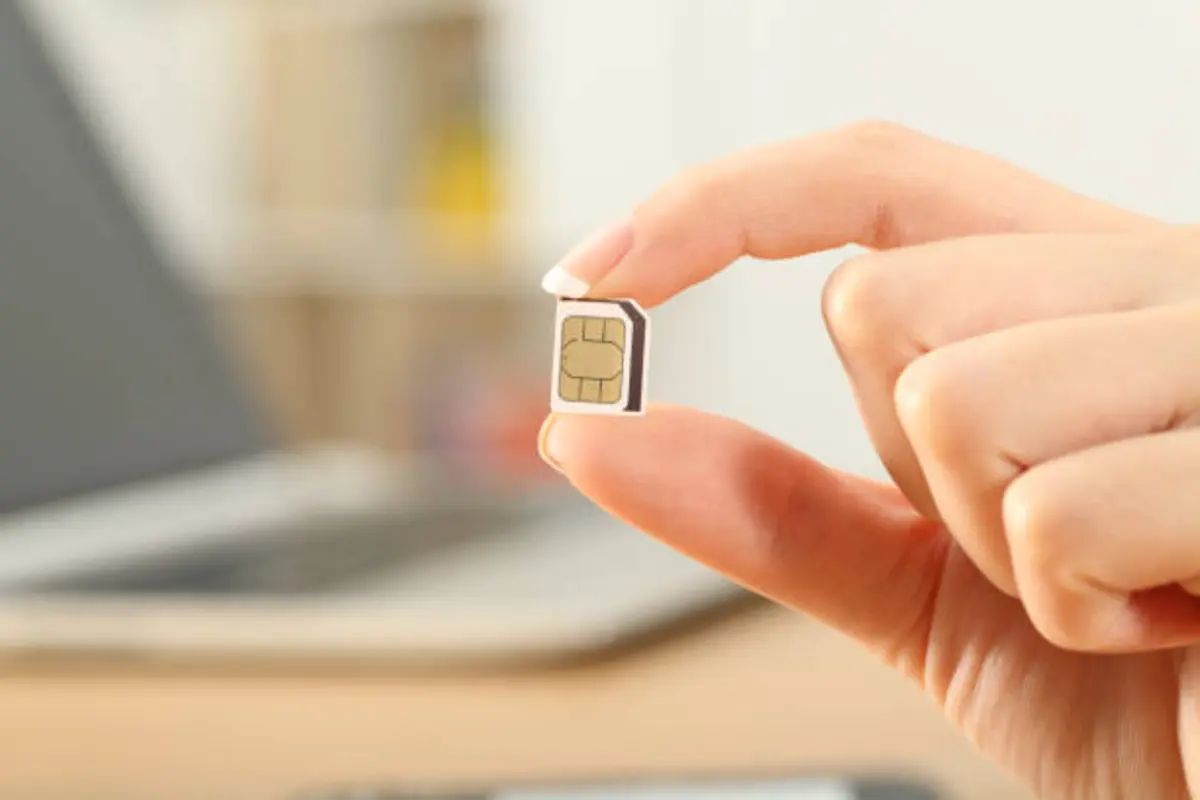 Фото: istockphoto.com