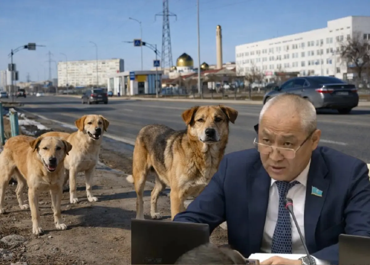 Коллаж автора