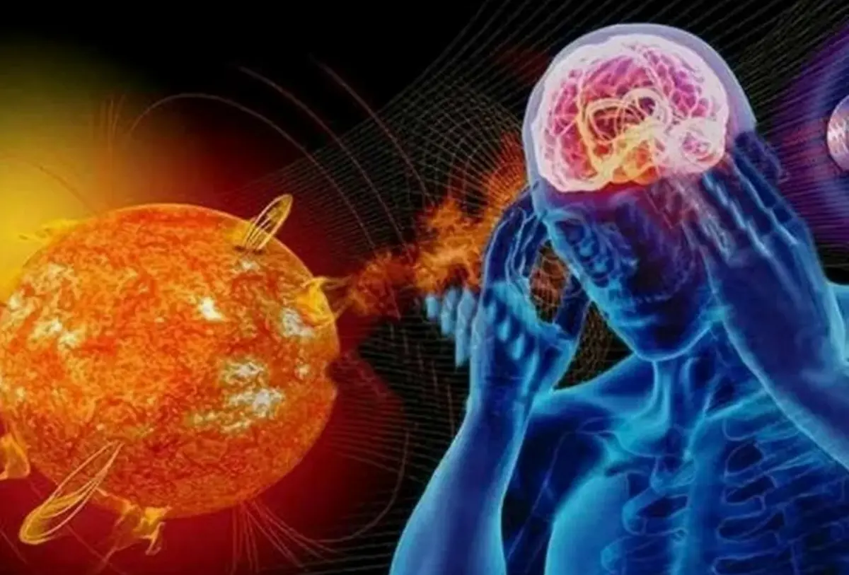 Фото:  Shutterstock