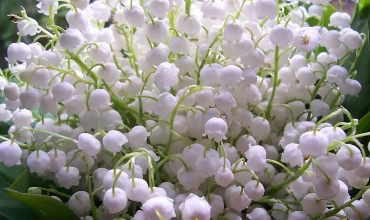 Фото: fi.pinterest.com