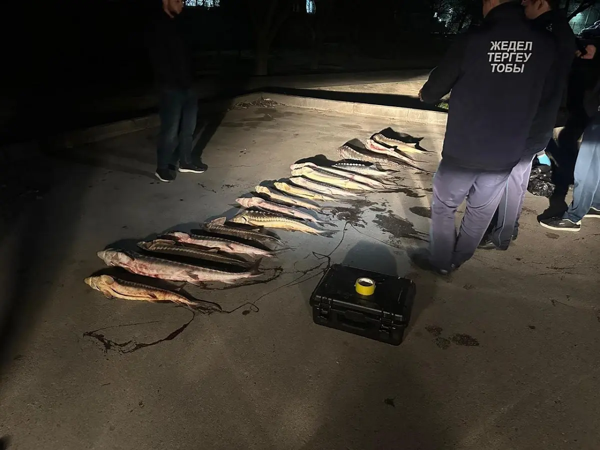 Фото пресс-службы ведомства