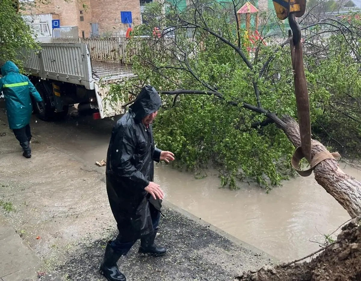 Фото акимата Жанаозена