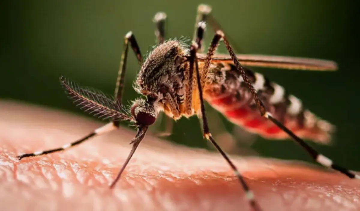 Фото: stock.adobe.com