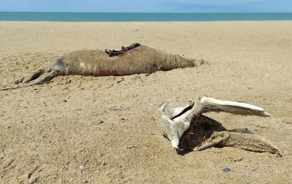 Фото управления рыбной инспекции региона