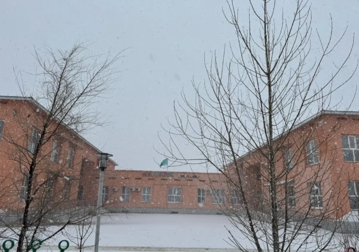 «Жауқазын». Фото: 2Gis