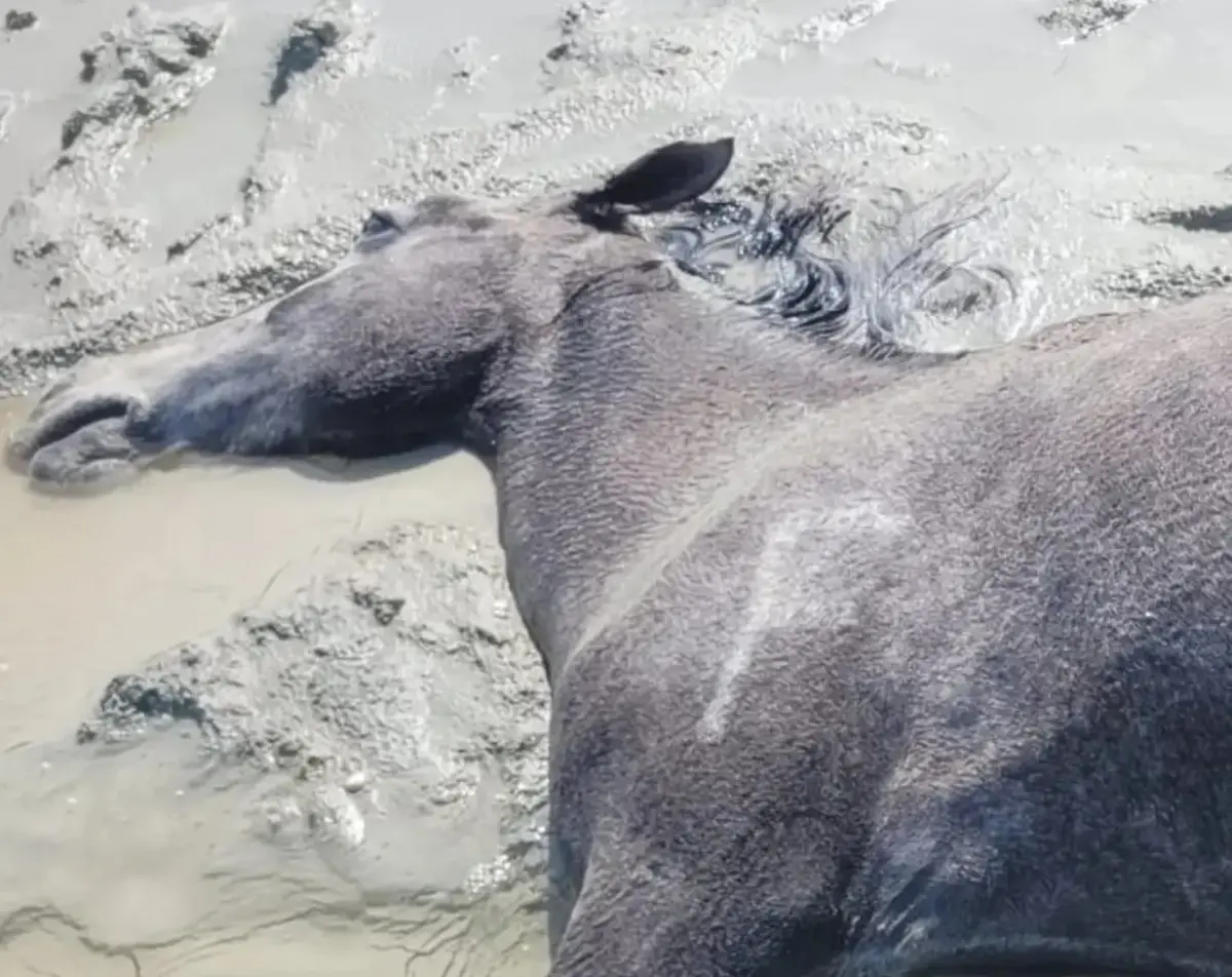 Фото местных жителей